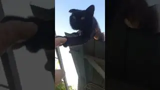 Эй,кто-нибудь!,помогите слезть.