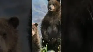 4 апреля 2024 г.