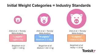 Tonisity Webinar - New Research into Piglet Pre-weaning Mortality & Recommended Solutions