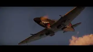 Spitfire Mk14s chill flight.