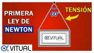 💥NEWTON'S FIRST LAW: Solving Translational Equilibrium Problems 👉 Tension in the String