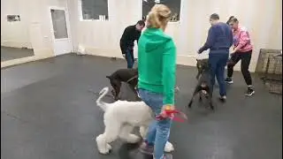 Детская группа ОКД