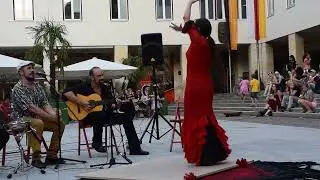Flamenco dancer with traditional dress