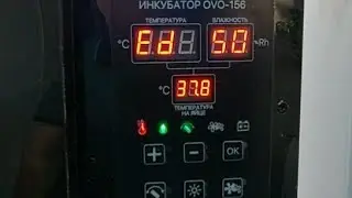 Инкубатор OVO 156, ошибка Ed. Неисправность датчика температуры.