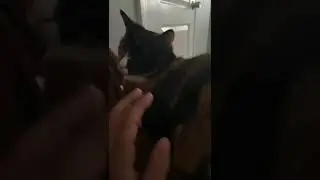 Subscirbe