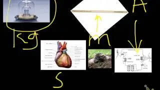 1.2.1 State the fundamental units in the SI system