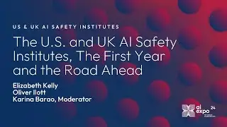 US and UK AI Safety Institutes, The First Year and the Road Ahead