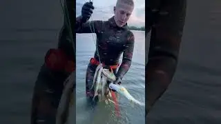 Наохотил! В соло! #shorts #short #fishing