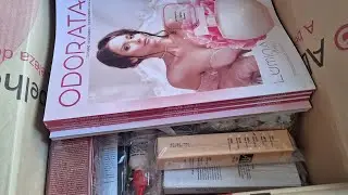 CAIXA ABELHA RAINHA E ODORATA MÊS AGOSTO 2024 Brindes!