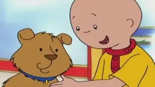 Caillou en Español | El perro perdido | Dibujos infantiles | WildBrain