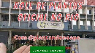CADEG: Meu lugar FAVORITO pra comprar PLANTAS no Rio ft. @plantandonoape