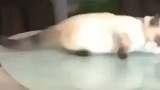 Вот, так. Скучаем. Василий😂