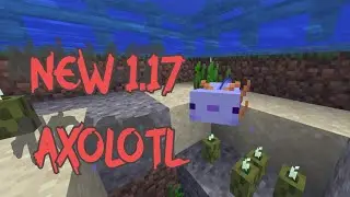New RAREST 1.17 Minecraft mob 