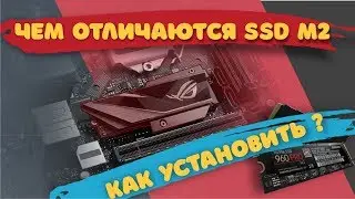 Чем отличаются SSD M2 и как установить его на материнскую плату
