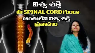 విశ్వ శక్తి మీ SPINAL CORD  గుండాఅంతులేని విశ్వ శక్తి ప్రవాహం  || OURDREAM || MERRY ||