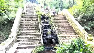 Bucaco National Forest, Portugal