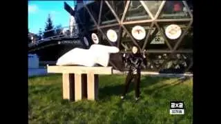 Муз Щит №22 на 2х2 Ярославна Колес - Чёрная Аномалия
