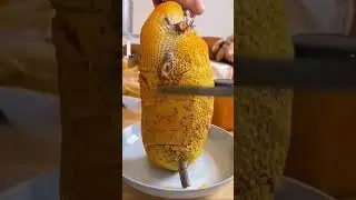 #honey #bee #bees #beekeeping #madu #nature #savethebees #honeybee #love #