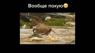 Вообще пофиг #юмор #смешное
