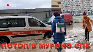 ПОТОП В МУРИНО - жители ЖК Мурино отрезаны от мира водой
