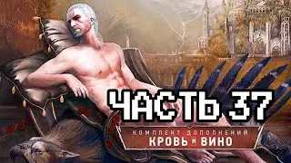 Впервые прохожу Ведьмак 3: Кровь и Вино - 37 часть | Макс сложность | Next Gen