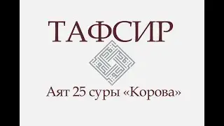 ТАФСИР КОРАНА. Аят 25 суры «Корова»: «И обрадуй тех, которые уверовали и творили благое...»