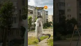 Как проведешь лето?🤗