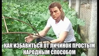 Baldur's gate 3/ Краткое прохождение ч6 /Подземелье / Секс с Лаэзель / Какадемон/
