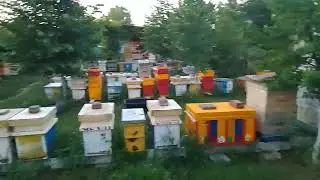 Матки ИО в наличии. Цена 4000 рублей.