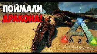 КАК ПРИРУЧИТЬ ДРАКОНА (1СПОСОБ)/SMALL DRAGON TAMING/ ► Ark: Survival Evolved #6