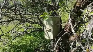 Ловушки появились на подступах.