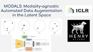 MODALS: Modality-agnostic Automated Data Augmentation in the Latent Space