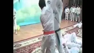 Etiram Pakaznoy, MMA Lokbatan