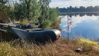 На очерет товстолобик теж клює. Риболовля на товстолоба.
