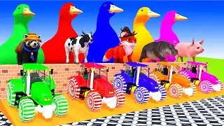 5 Giant Duck Cartoon,Tiger,Cow,Zebra,Sheep,Pig,Chicken,Dog,Bear Wild Animals Crossing Fountain 2023
