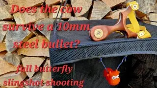 does the cow survive a 10mm steel bullet? full butterfly slingshot shooting