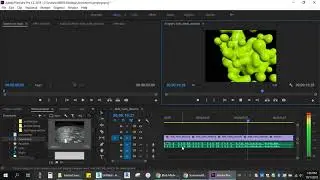 Compiling avi and sound into Premiere Pro