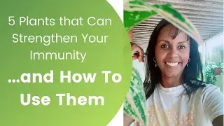 Five Plants that Strengthen Your Immunity and How To Use Them | Jovanka Ciares