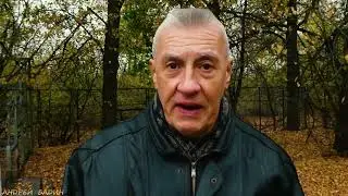 СЕРЕБРЯНО-ВИНОГРАДНЫЙ  ПРУД