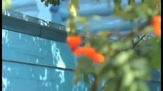 "Погодинская изба"