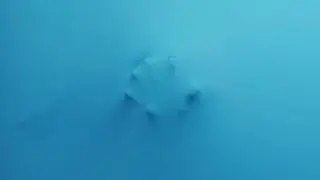 This Is Not Art (TiNA) 2017 Promo