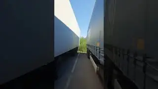 еслиб мишки были пчёлами , ,,,, 😉