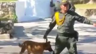 Encuentran artefacto explosivo cerca del CAI Cisneros