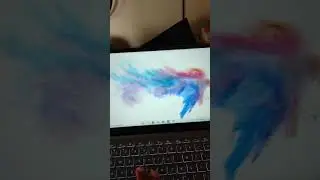 MSI Camera Problem