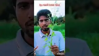 Photosynthesis और Reproduction का Quick Revision🥰😍। class 10th Aur 12th #shorts #trending #ytshorts