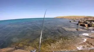 Rock Fishing South Australia For Australian Salmon