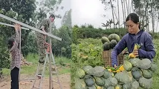 Binh harvests pumpkins and builds a small kitchen with Ut Tran.