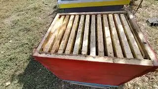 Чому саме український корпусний вулик