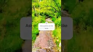 ditch flight #djidrones #fpv #djidronemini2