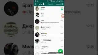 Ужасная переписка с братом доконца